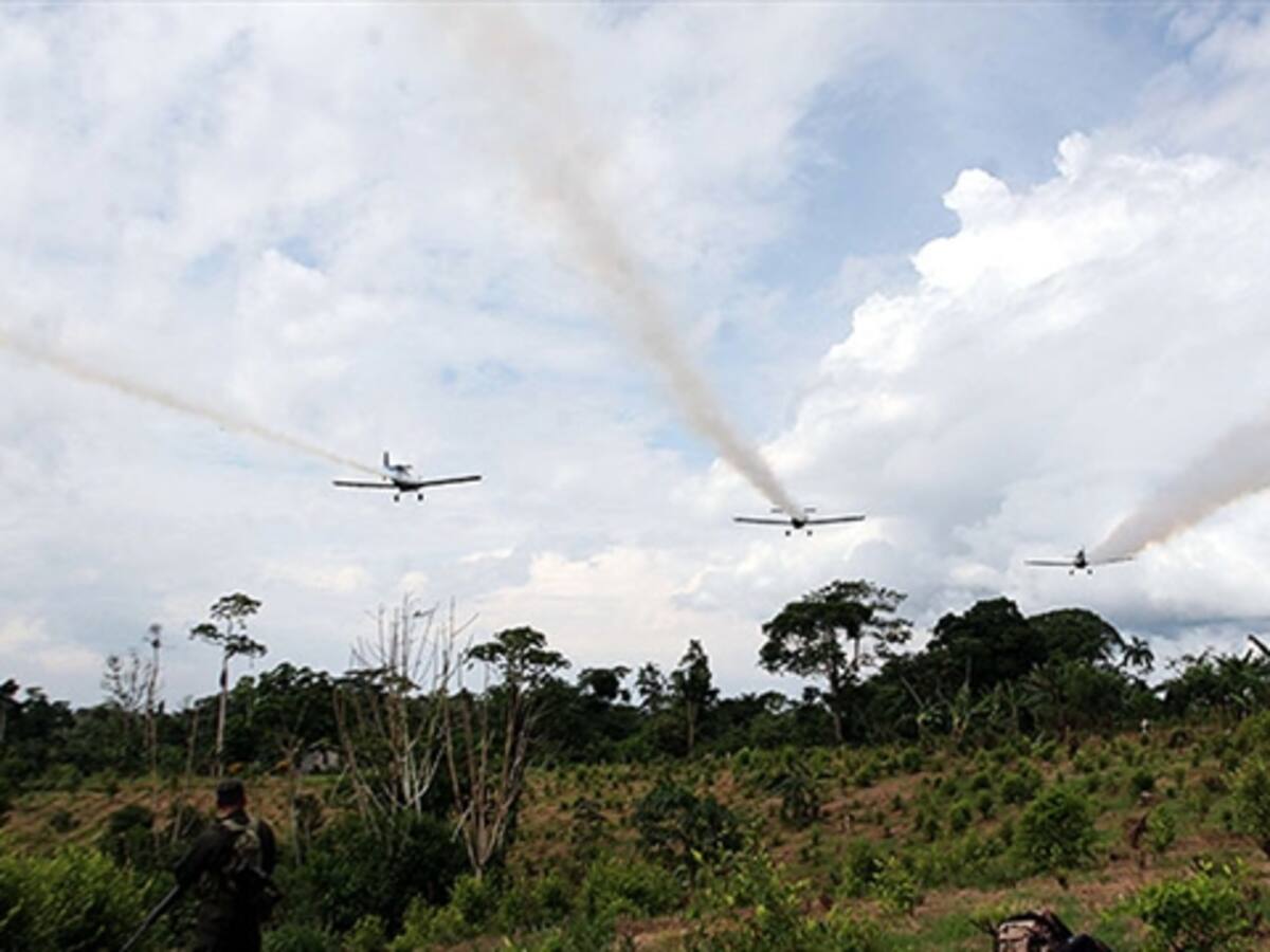 Gobierno no descarta una última aspersión con glifosato