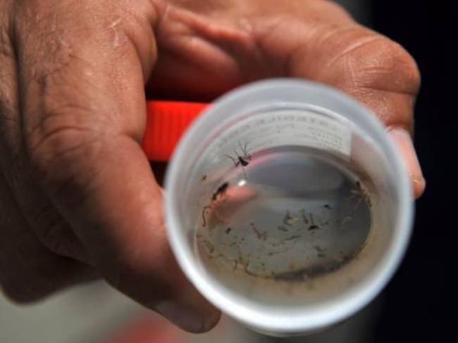 Ya son más de 31 mil casos de zika en el país: Santos