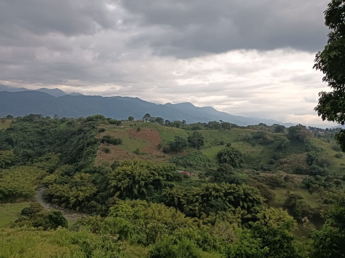 Jueves 5 de marzo, las noticias más importantes de Armenia y Quindío