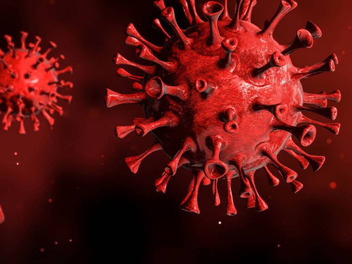 La explicación de por qué algunas personas nunca se han infectado de COVID-19