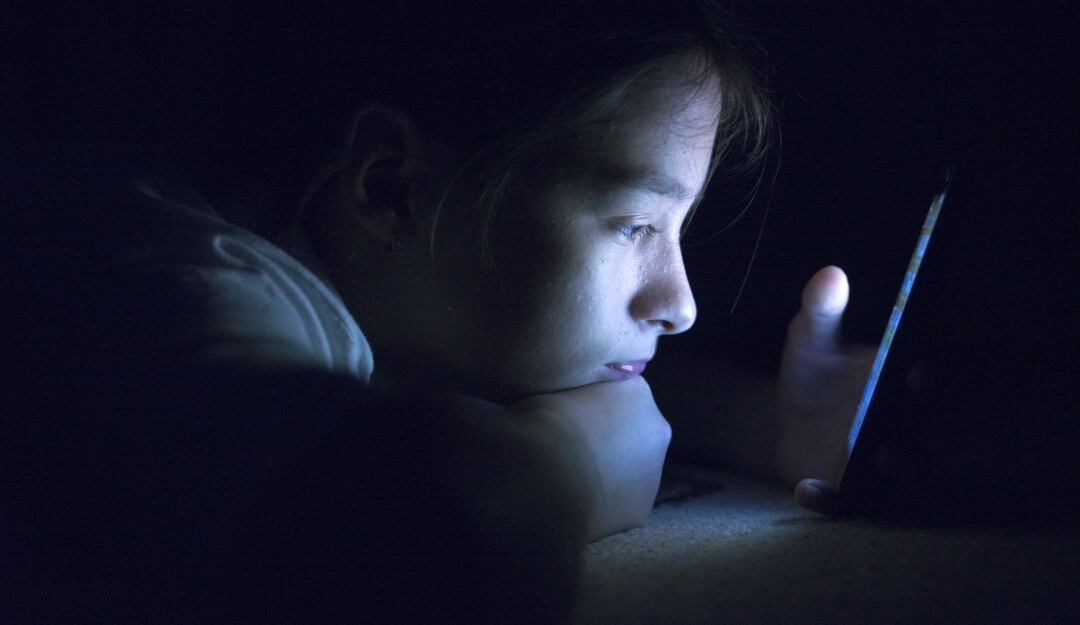 Bullying en internet: qué es el ciberacoso y cómo detenerlo