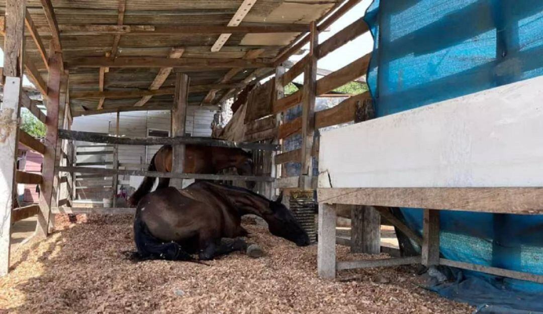 El órgano de control señaló que esos lugares en Cartagena no cuentan con sistemas de drenaje adecuado, lo que los expone a infecciones