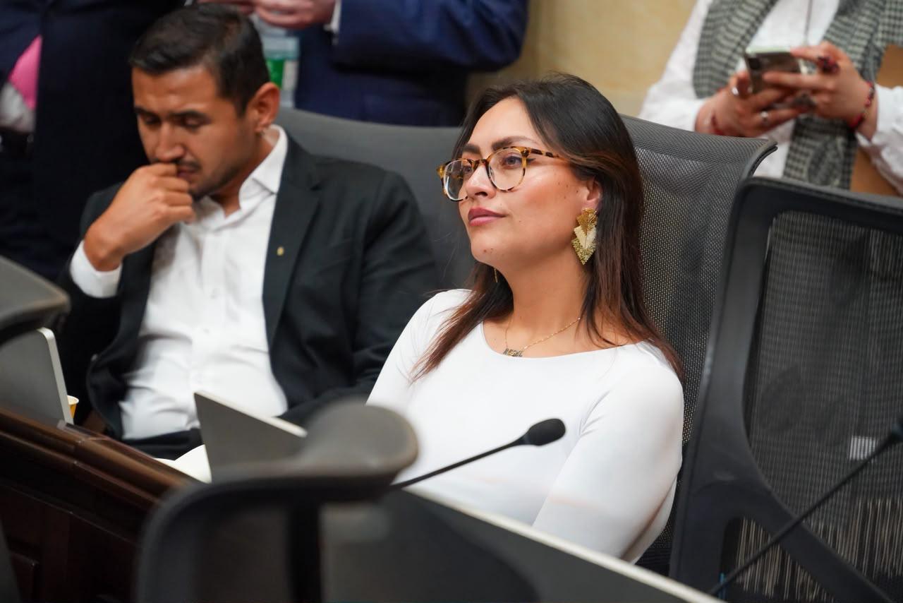 La representante a la cámamara Laura Beltrán en el congreso