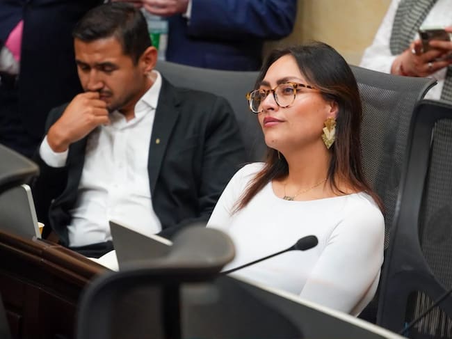 La representante a la cámamara Laura Beltrán en el congreso