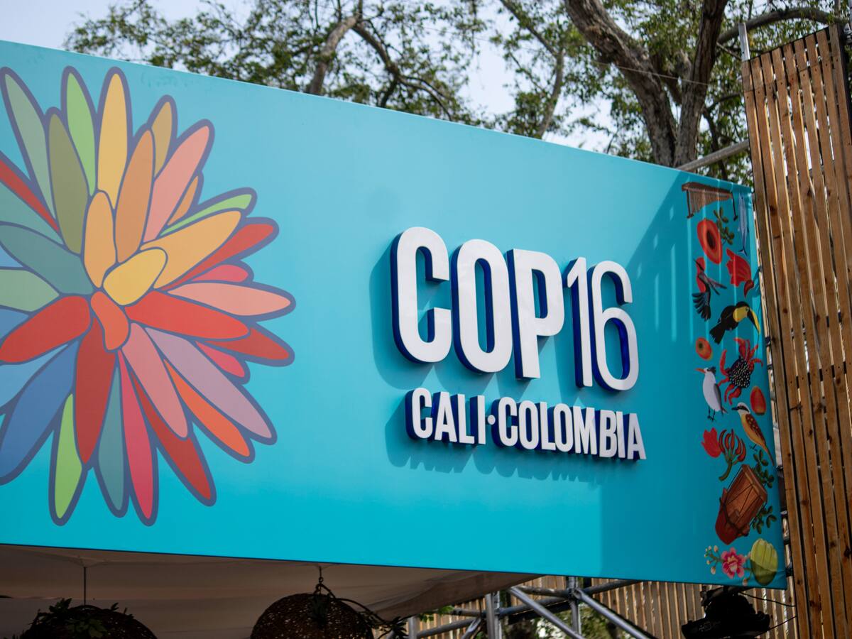 El gobernador Juan Diego Patiño, y la congresista Carolina Giraldo, presentes en la COP16