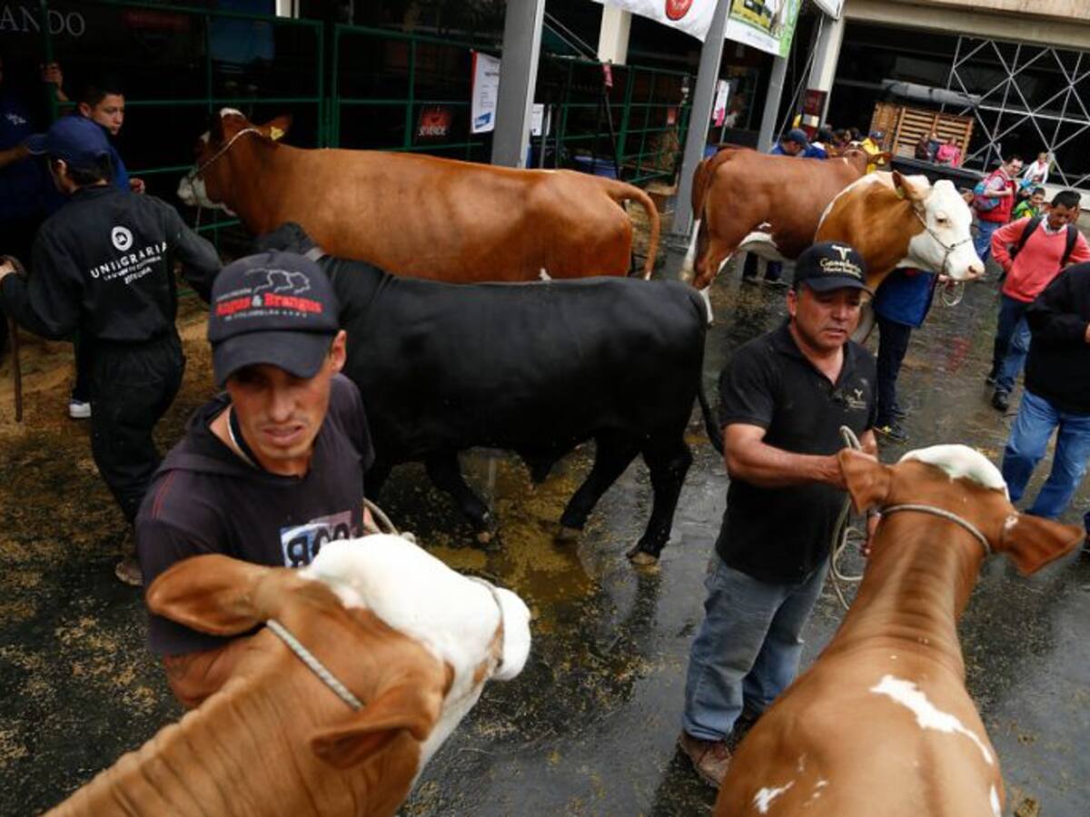 Aumentan controles en la frontera por contrabando de carne