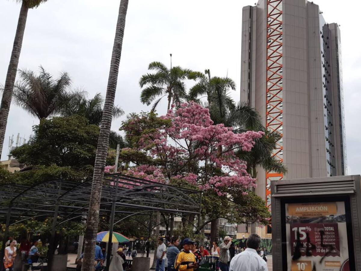 Viernes 21 de febrero, las noticias más importantes de Armenia y Quindío