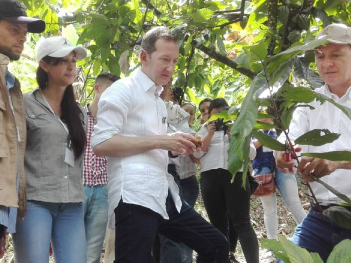 Cacao producido por mujeres se exporta al Reino Unido