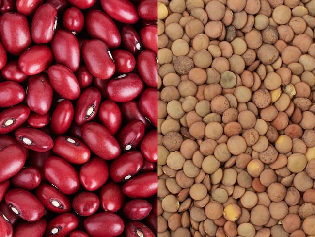 Comparación entre fríjoles y lentejas, dos legumbres ricas en hierro. (Fotos vía Getty Images)