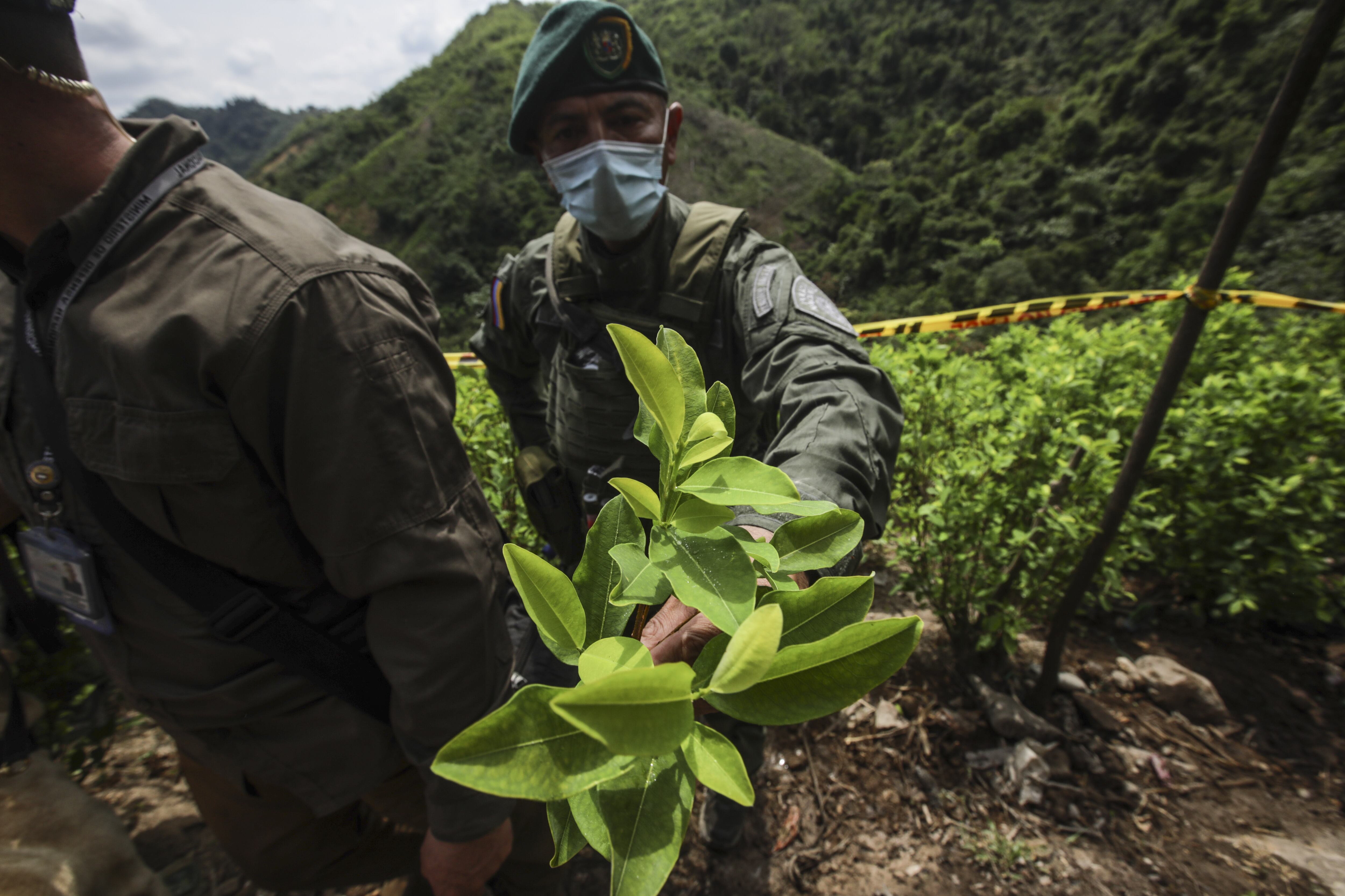 Colombia podría ser descertificada con política antidroga: Exfuncionario de Casa Blanca