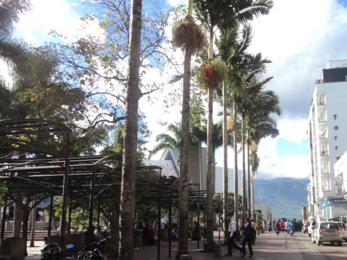 Viernes 22 de julio, noticias más importantes de Armenia y el Quindío