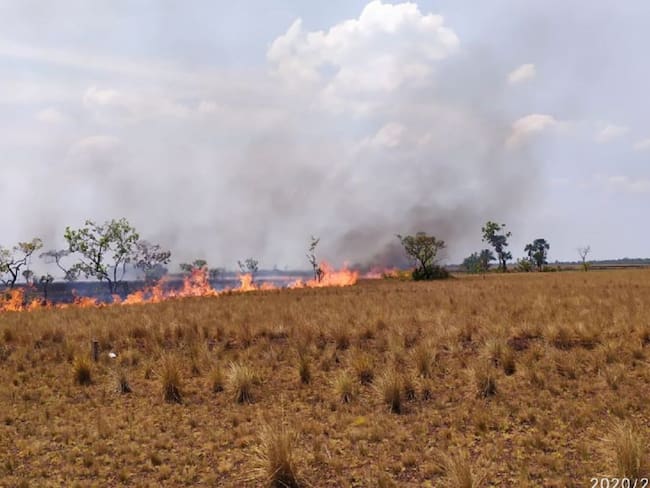 Alrededor de 1.160 hectáreas ha consumido incendio en el Parque El Tuparro