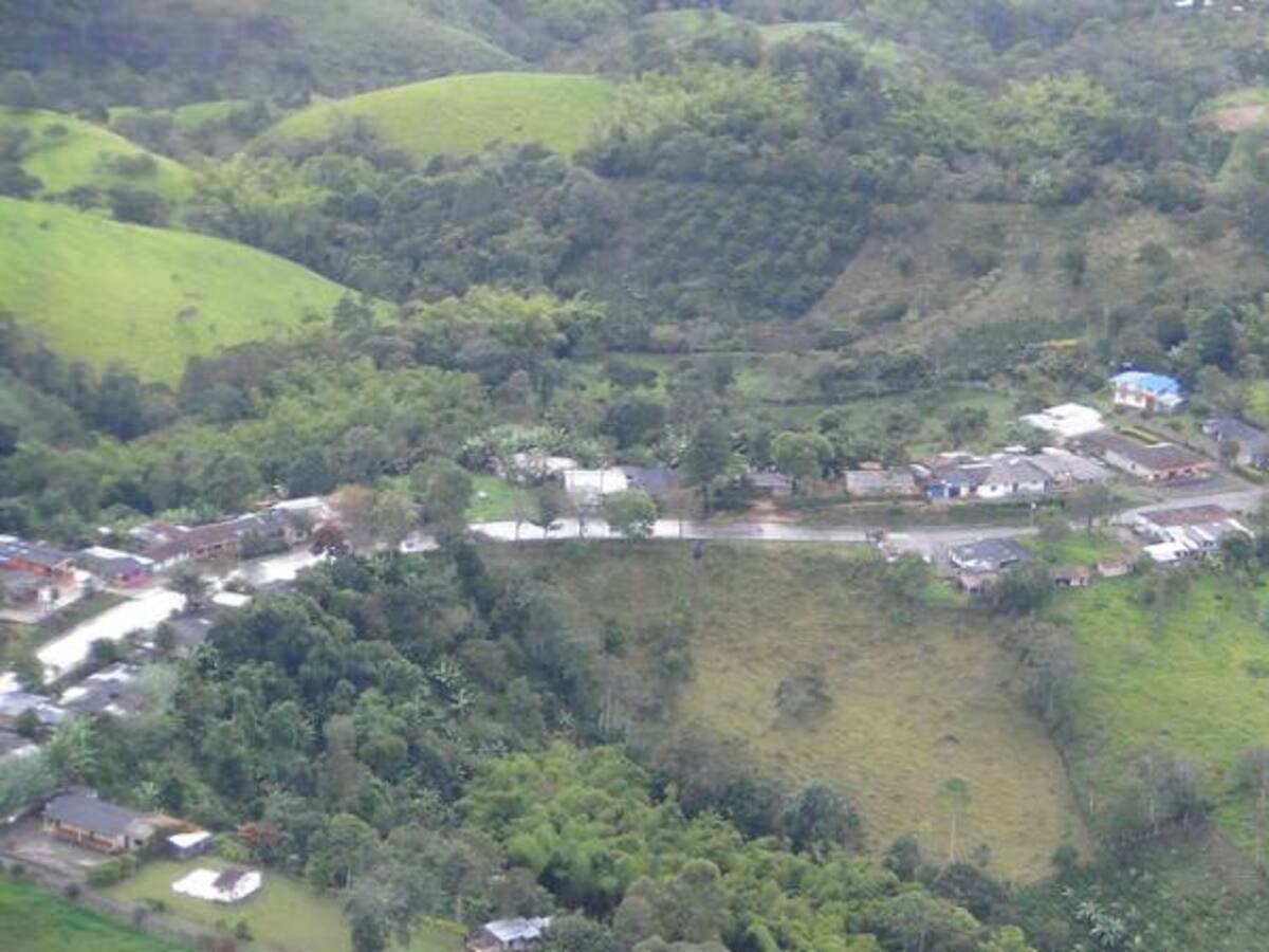 Solo habrá un "cordón humanitario" en la Panamericana