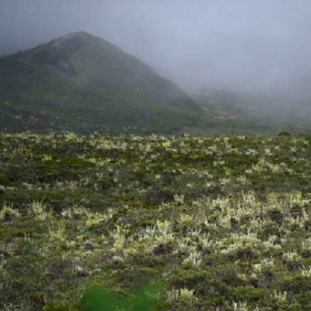 Boyacá y Cundinamarca tienen convenio para pagar por servicios ambientales