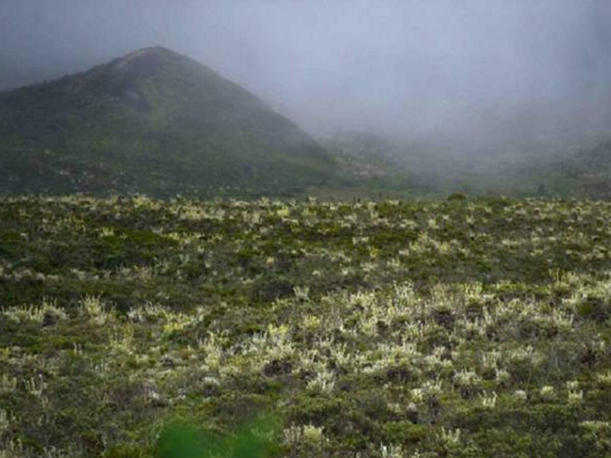 Campesinos de Boyacá acudirán a CIDH para frenar delimitación de Páramos