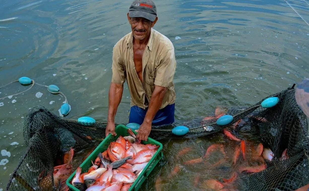 Pescadores podían obtener entre $200.000 y $300.000 diarios. Imagen relacionada. Foto: suministrada.