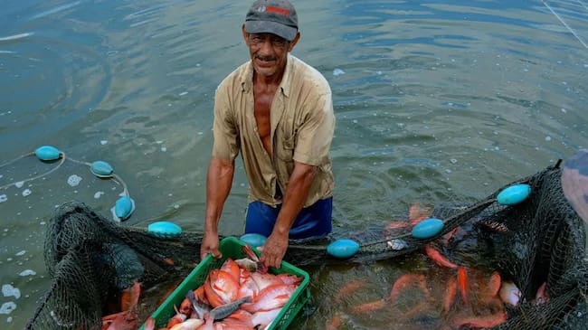 Pescadores podían obtener entre $200.000 y $300.000 diarios. Imagen relacionada. Foto: suministrada.