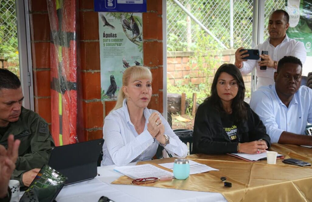 Desde 2024 las autoridades han logrado cerrar 12 minas ilegales en el Parque Los Farallones. Foto: Gobernación del Valle del Cauca.