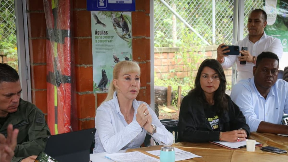 Alertan en los Farallones de Cali por posible apertura de nueva mina ilegal