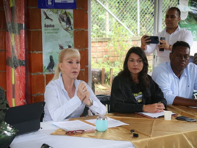 Desde 2024 las autoridades han logrado cerrar 12 minas ilegales en el Parque Los Farallones. Foto: Gobernación del Valle del Cauca.
