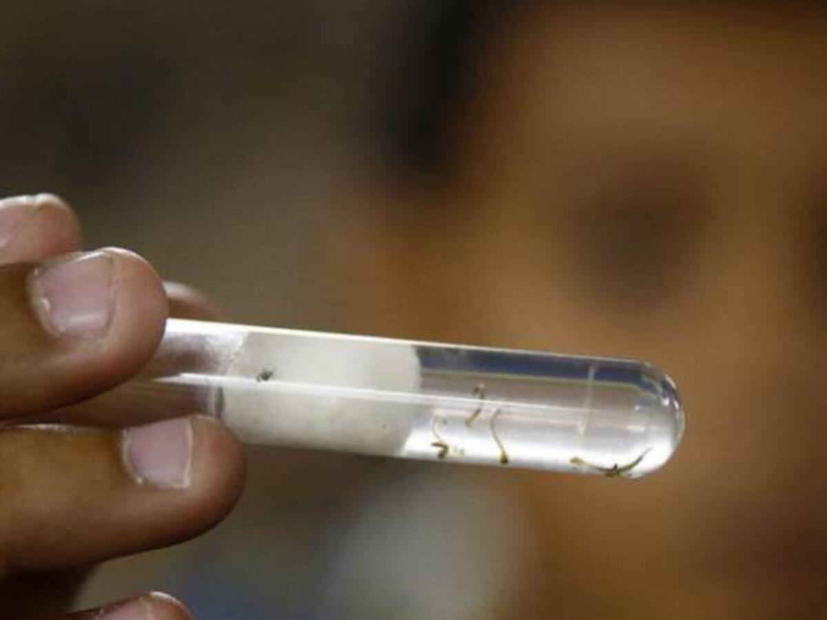 Caldas tiene 175 casos de Zika