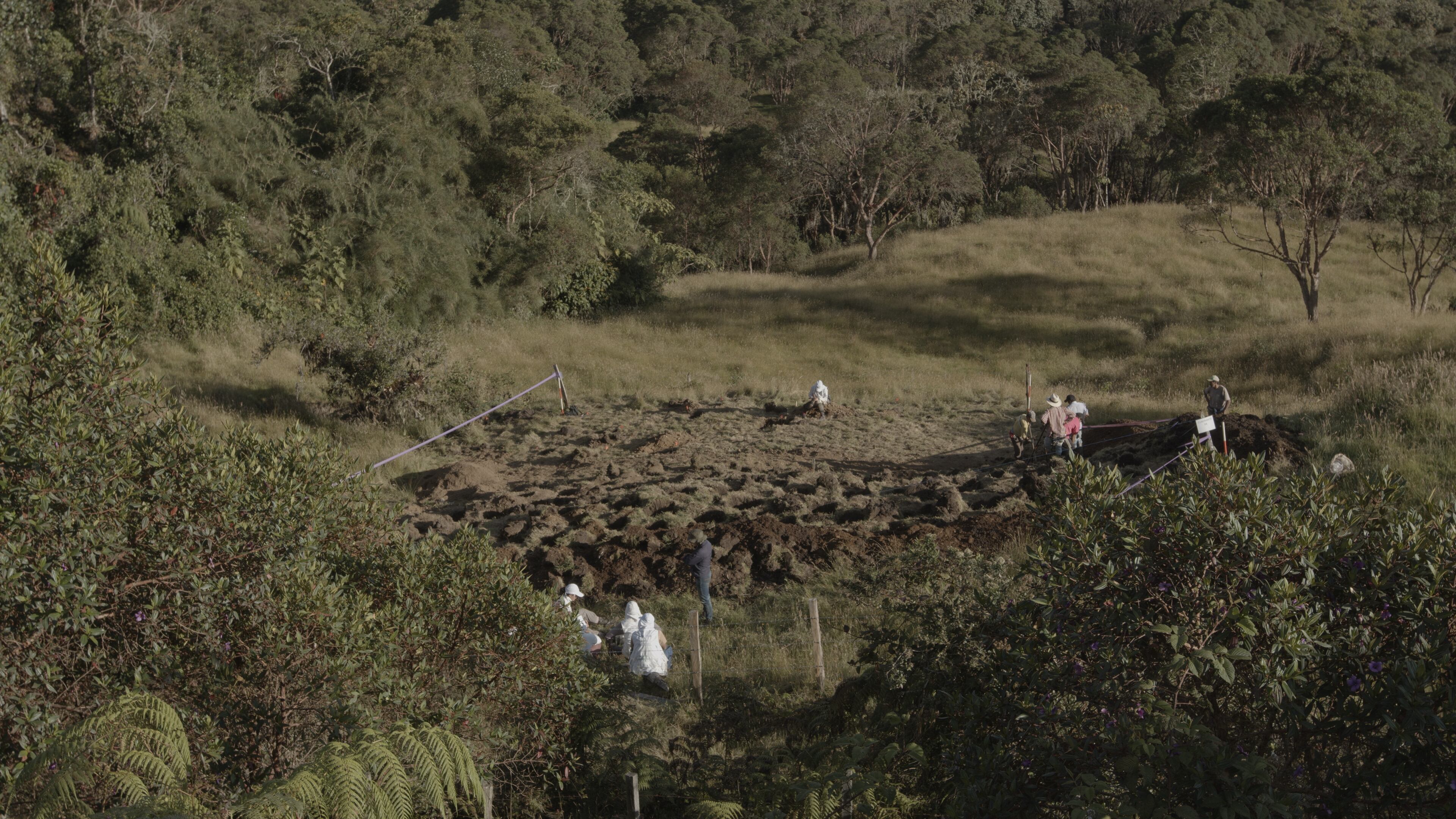 Cortesía: Película “Forenses”