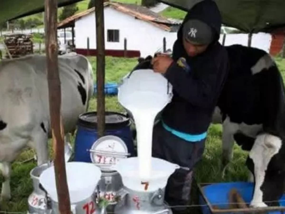 Ganaderos de Norte de Santander reportan pérdidas por impacto de las lluvias
