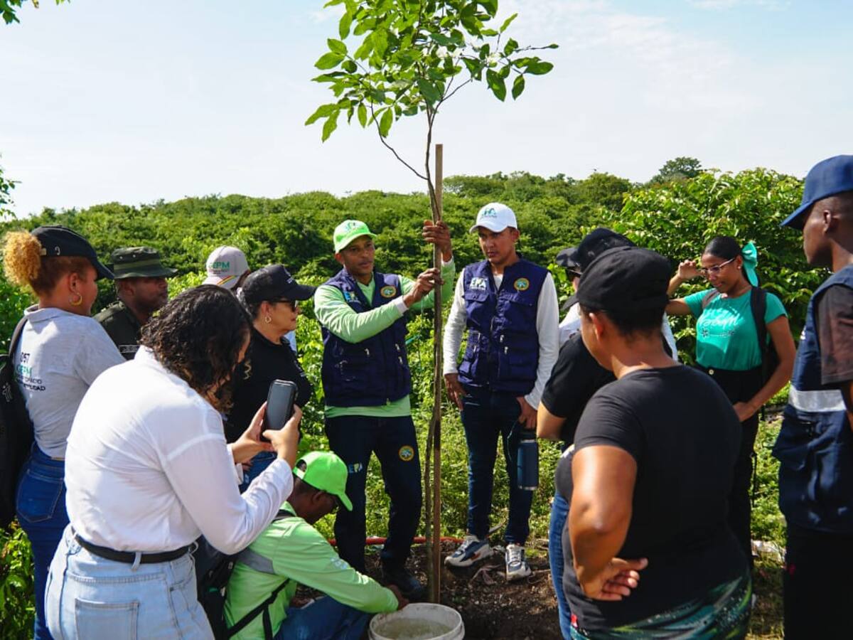 Recuperación ambiental en cerro de La Popa liderada por EPA Cartagena