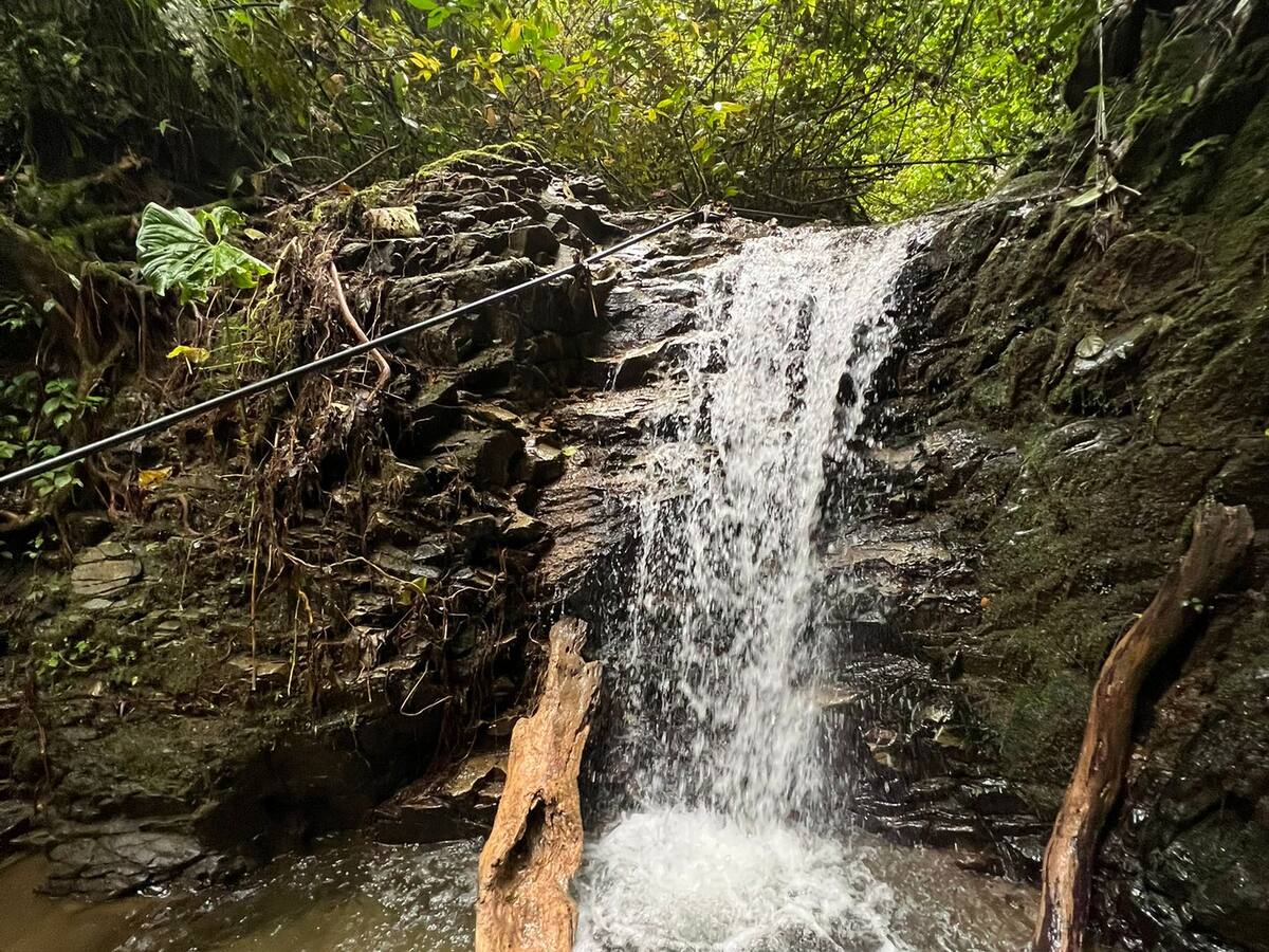Acelerar el cambio para enfrentar los problemas del agua en Quindío: Néstor Ocampo