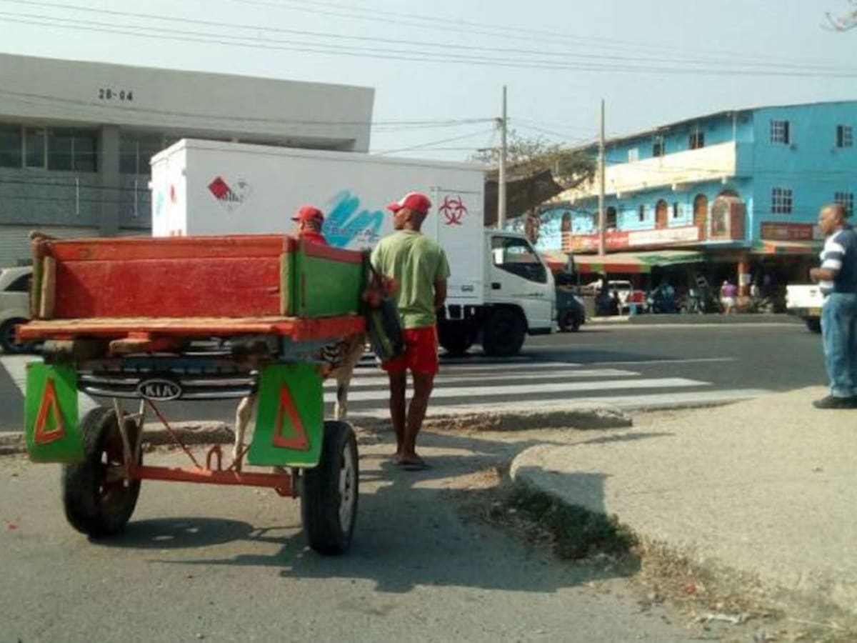 Fijan fecha de audiencia sobre sustitución de vehículos de tracción animal
