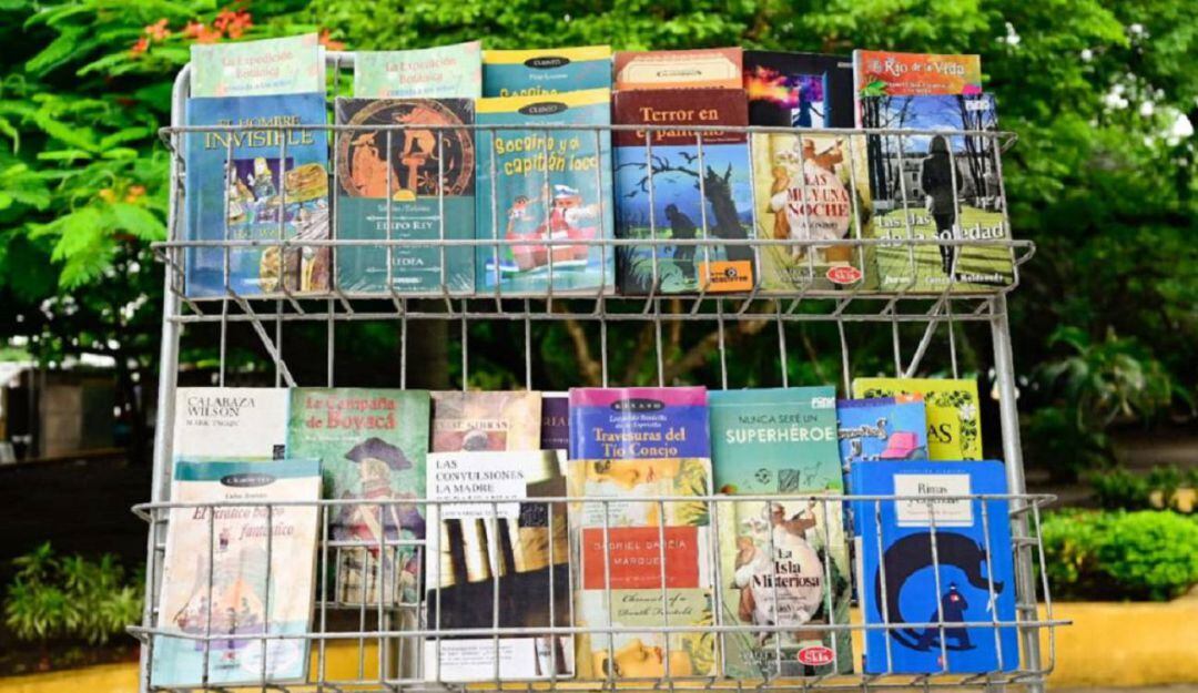 Imagen de referencia