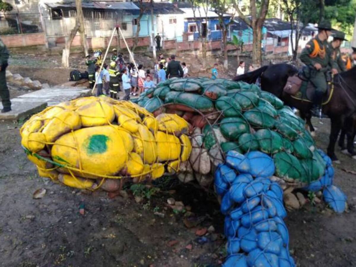 Video: Así quedó el parque de las Tortugas, una antigua guarida de pillos