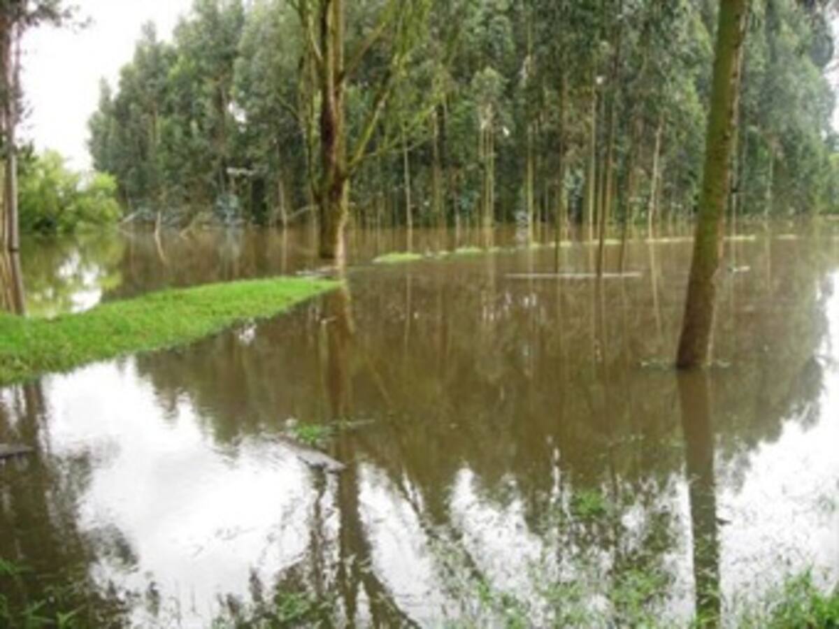 Hoy inician las inundaciones controladas en Zipaquirá, Sopo y Soacha para bajar nivel del río Bogotá