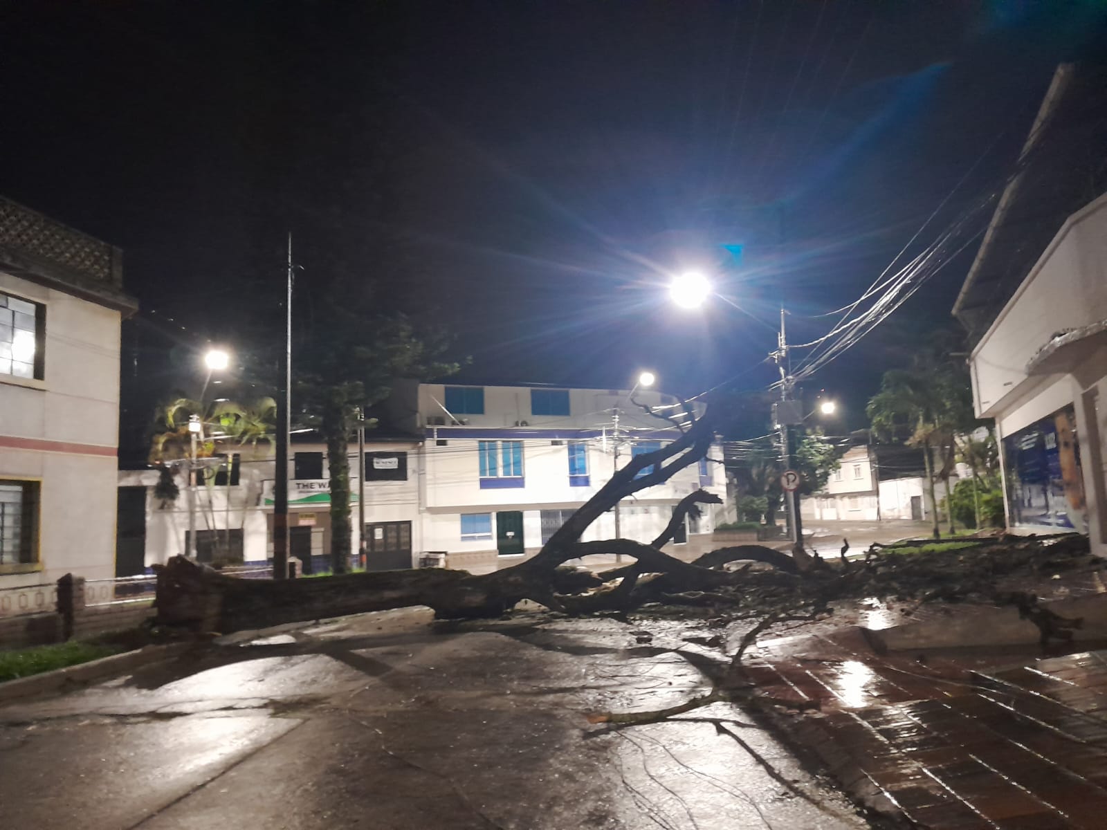 Emergencia por caída de árbol en Ibagué.