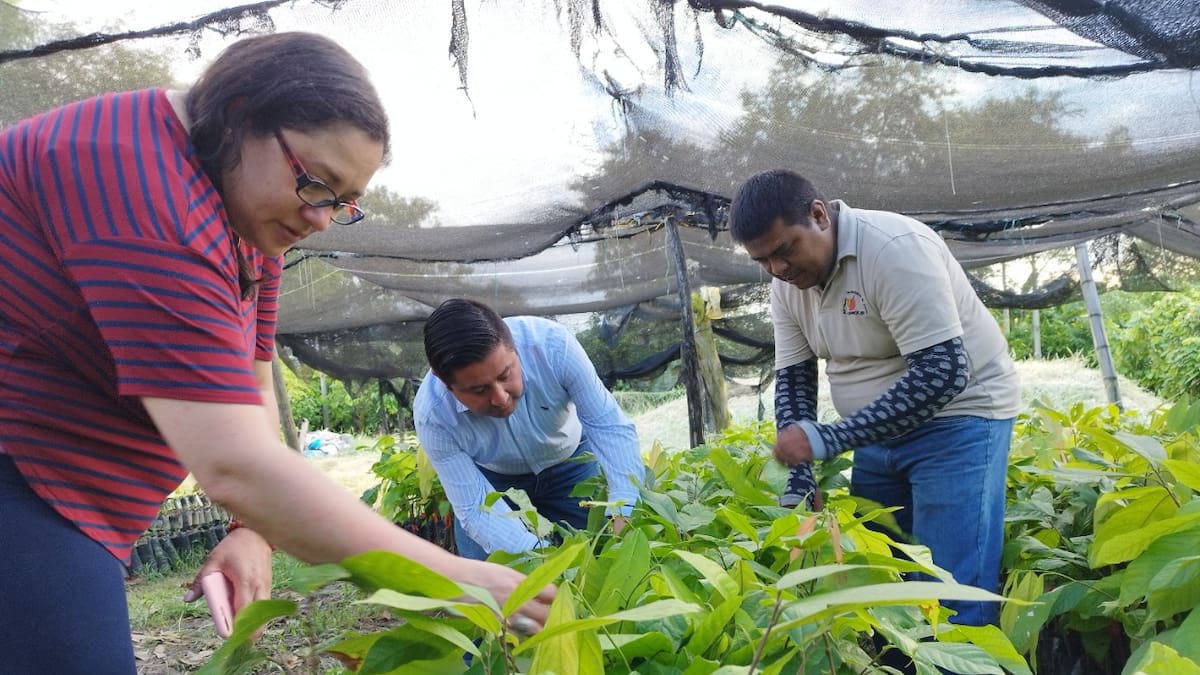 Cerca de 11.000 campesinos del Huila serán beneficiados de extensión agropecuaria