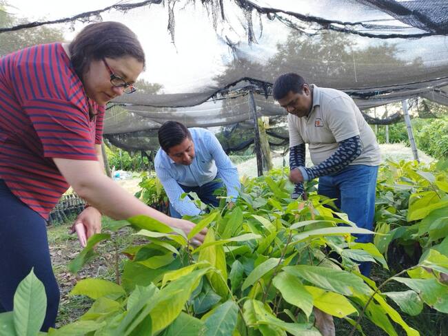 Cerca de 11.000 campesinos del Huila serán beneficiados de extensión agropecuaria