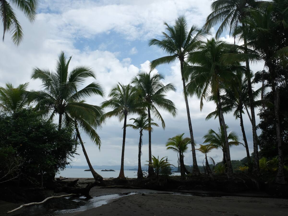 Chocó instala PMU de emergencia ante alerta de tsunami en el departamento