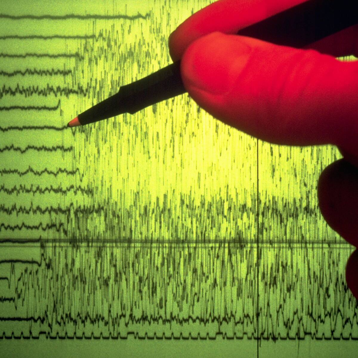 Japón: sismo de magnitud 6,2 no dejó daños ni causó alerta de tsunami