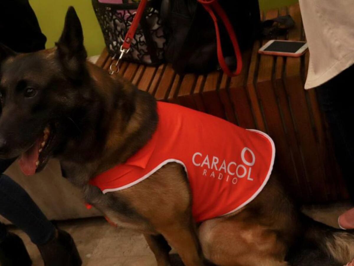 Nupec, alimento premium para mascotas, llega a Colombia