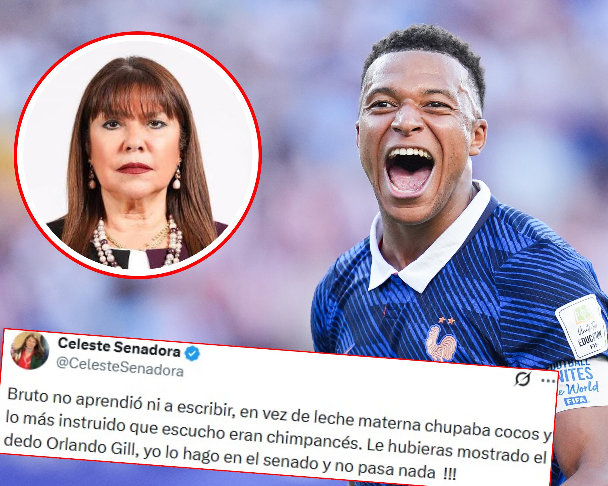 La senadora Celeste Amarilla se refirió al jugador francés como un “bruto, no aprendió ni a escribir, en vez de leche materna chupaba cocos y lo más instruido que escuchó fueron chimpancés”.
(Foto: Caracol Radio / Getty / Cortesia)