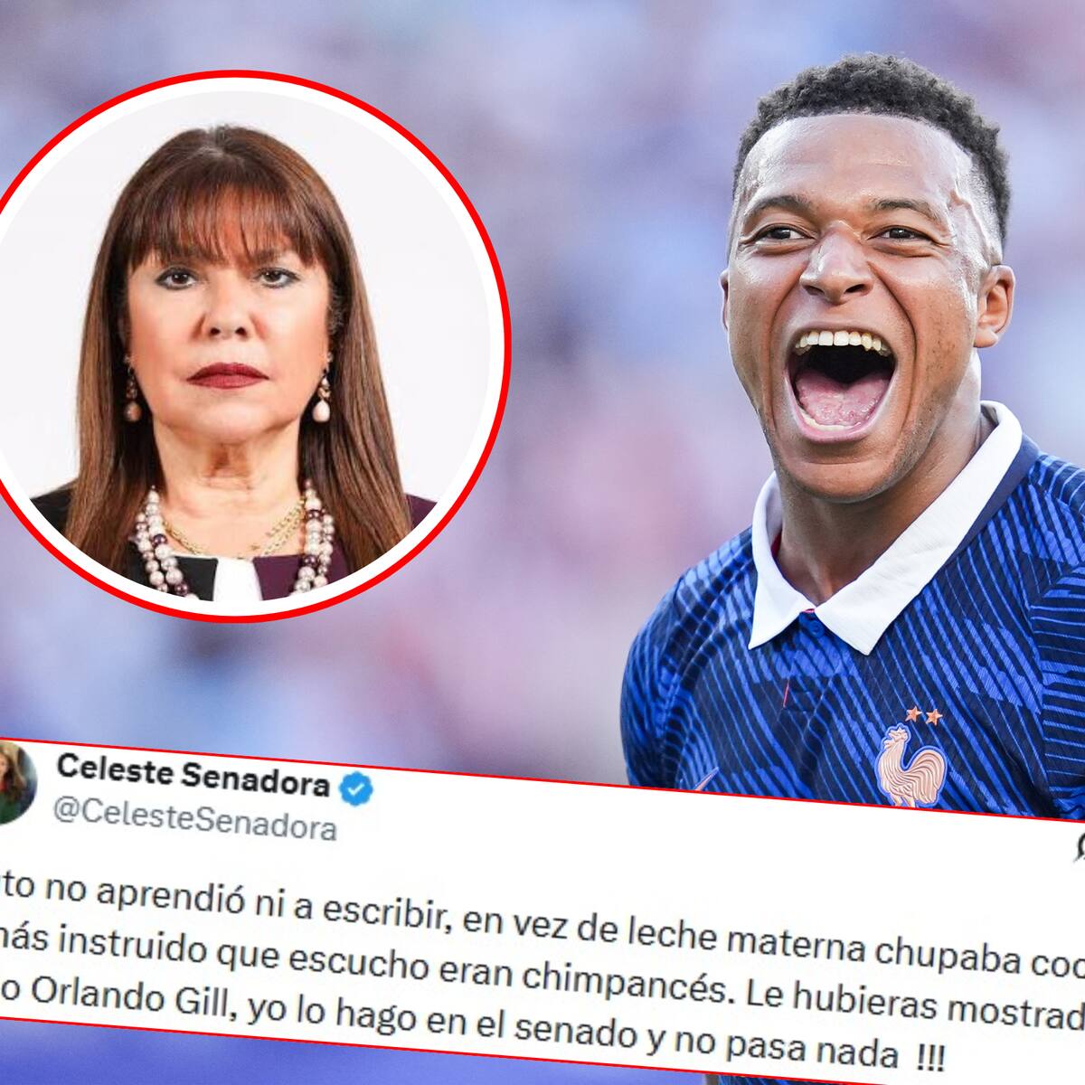 Racismo en el Mundial: Francia critica ministra paraguaya que calificó de chimpancé a Kylian Mbappé