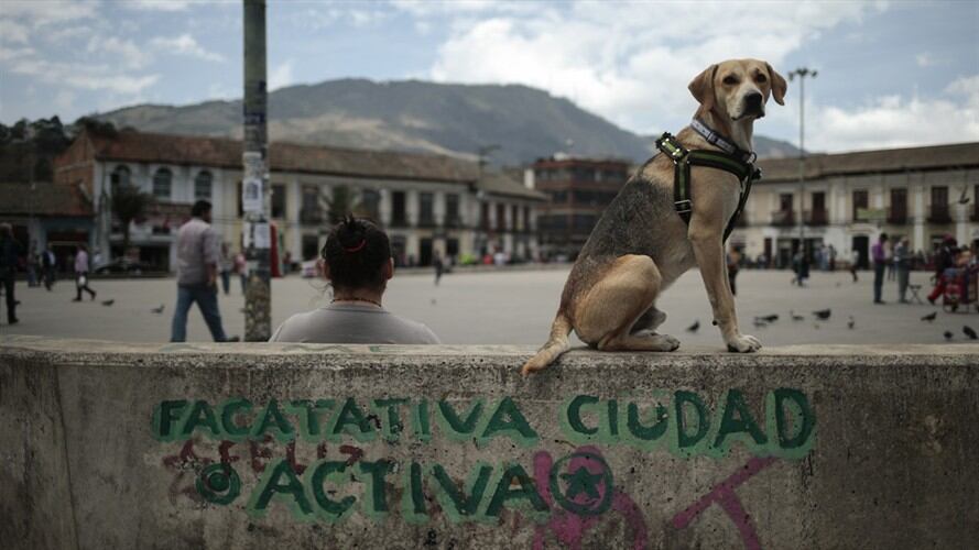 Facatativá pide que se mantenga seguridad durante curso a guerrilleros de las Farc. Foto: Colprensa