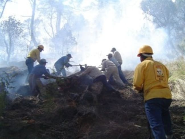 Incendio amenaza acueducto del municipio de La Argentina, Huila