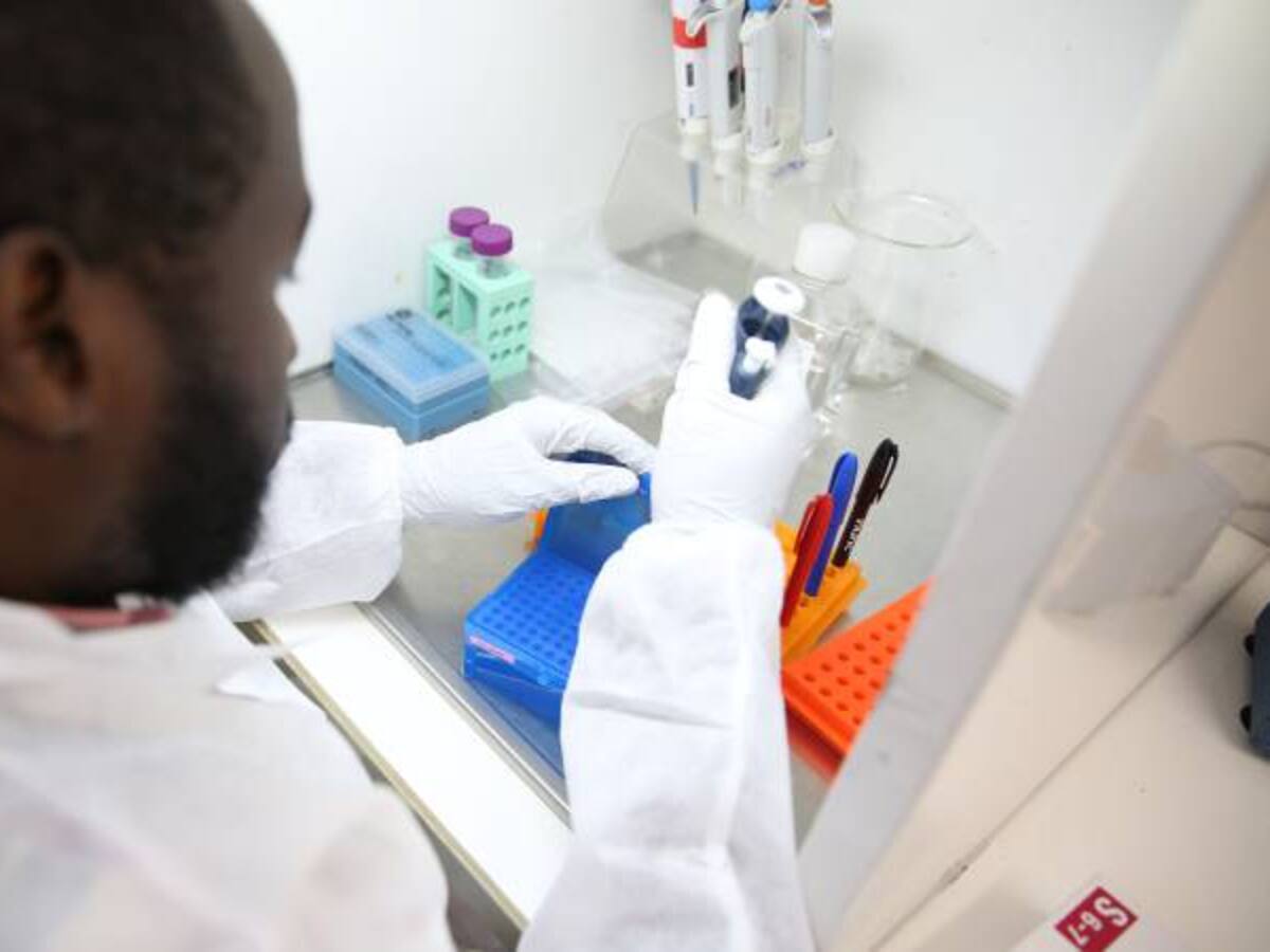 Analizador de diagnóstico in-vitro para laboratorios clínicos