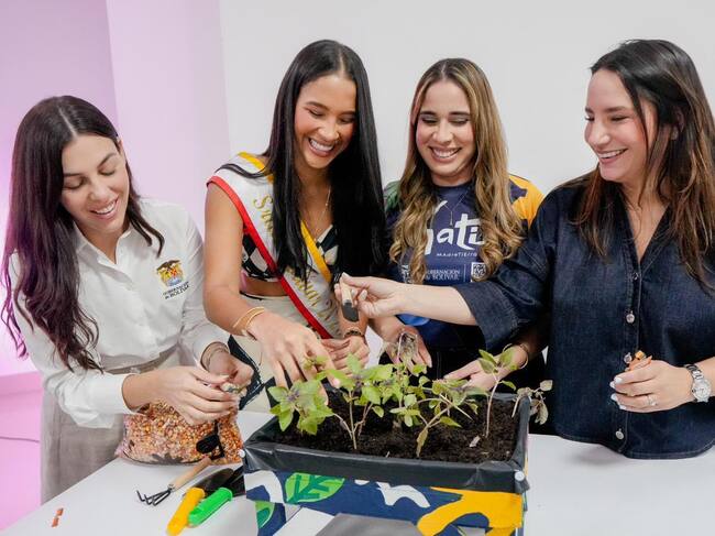 Gobernación de Bolívar lanza la segunda fase del proyecto Matié