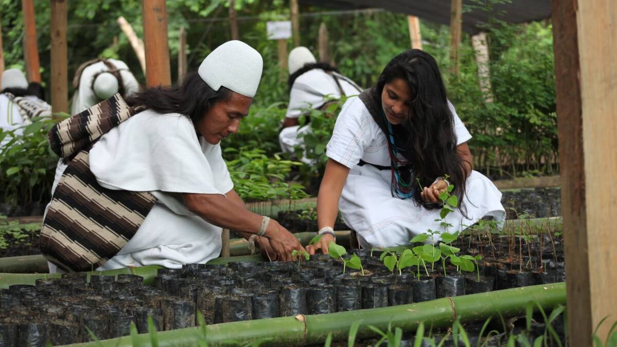ADR: “Las entidades públicas tienen la obligación de comprar el 30 % de la producción local”