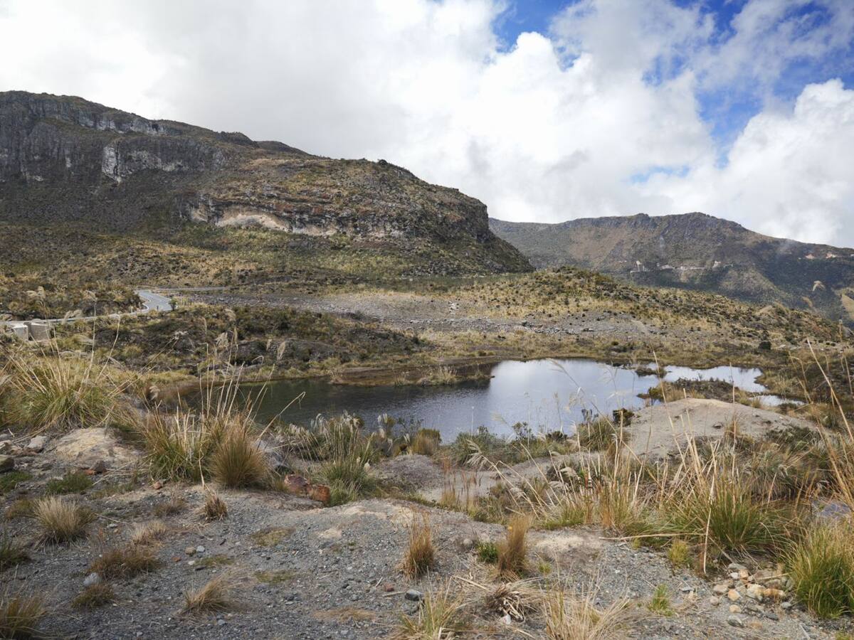 Gobernación del Tolima celebra fallo que ordena pico y placa en la vía Murillo-Manizales