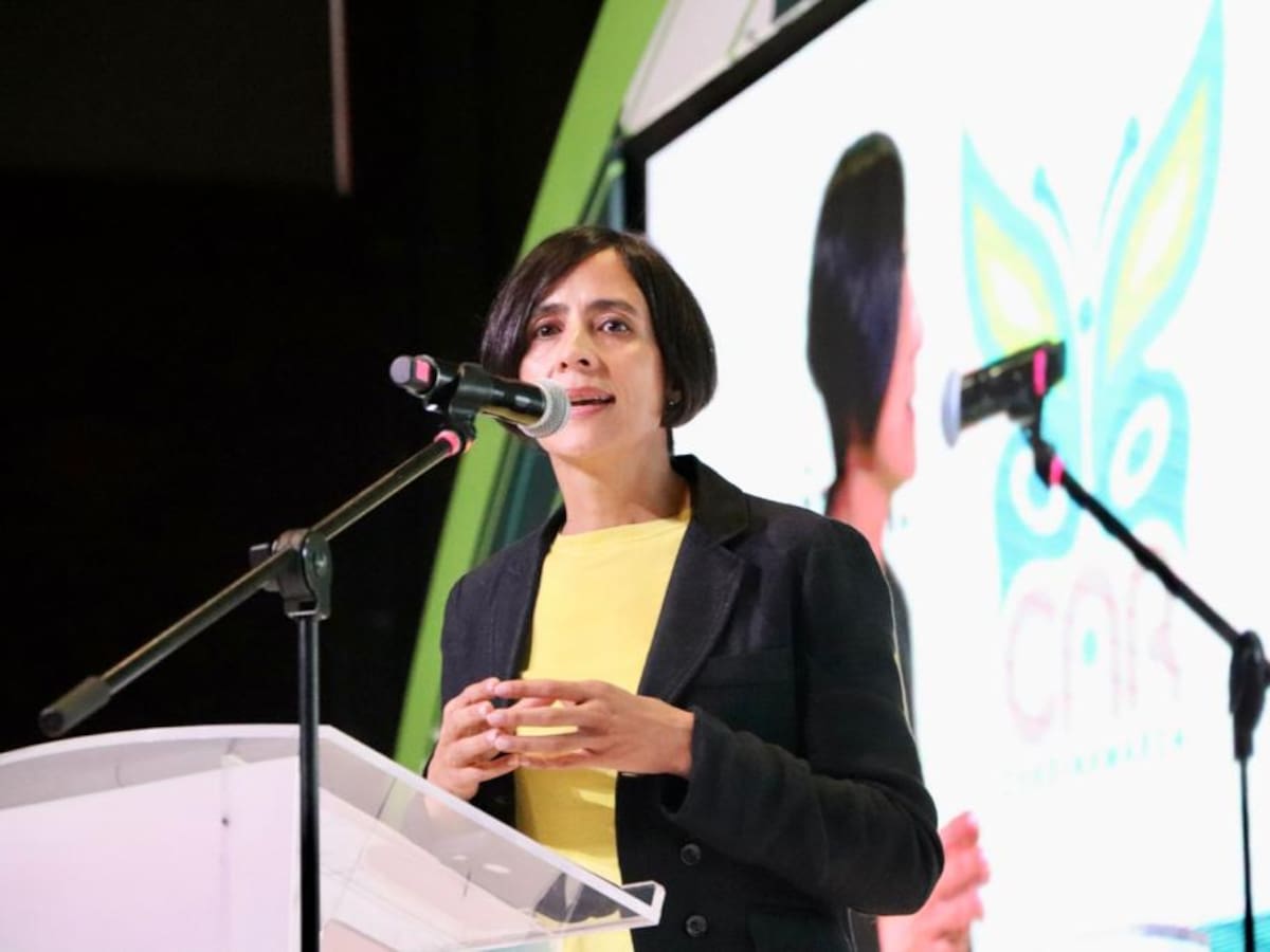 Fenómeno del Niño: cierre de parques y protocolo de cooperación internacional