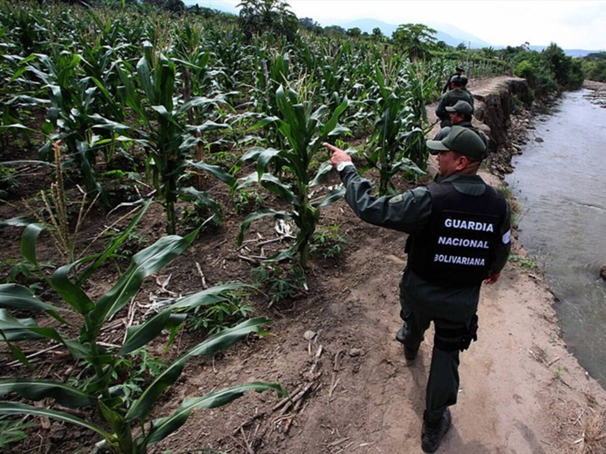 Cinco masacres se han registrado en la frontera colombo-venezolana