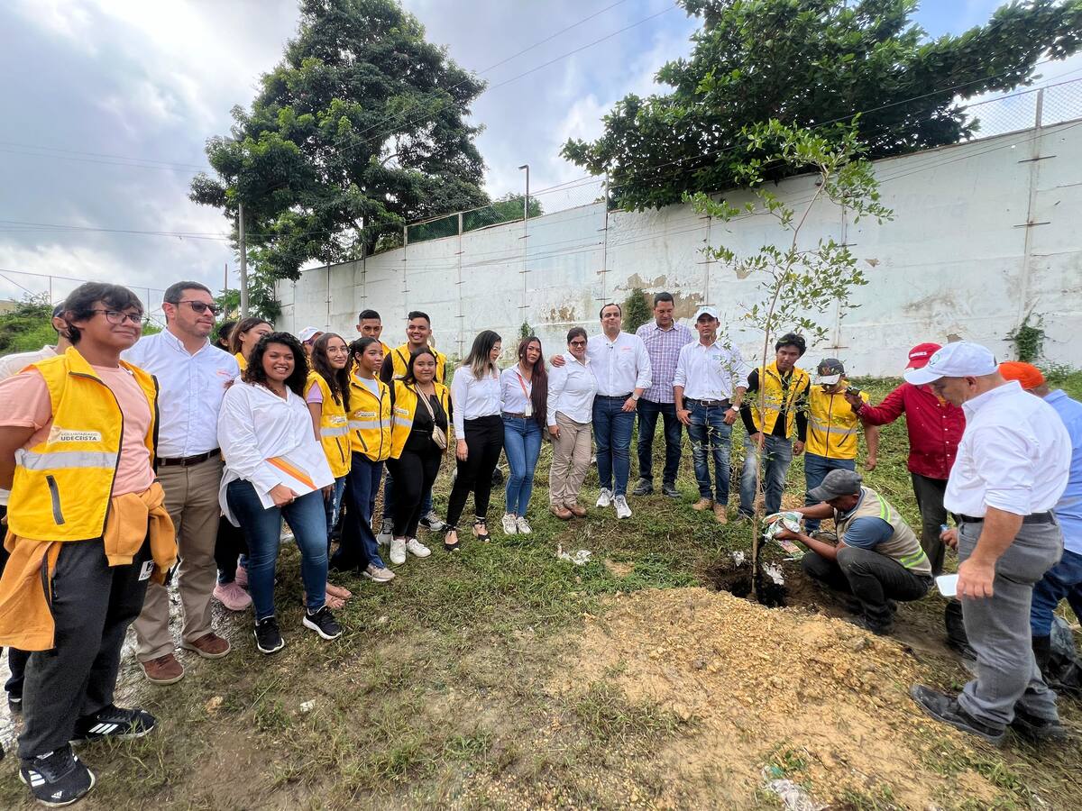 EPA y Esenttia siembran 100 árboles en la Universidad de Cartagena